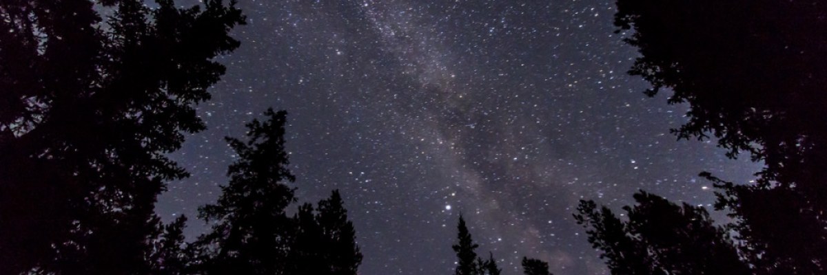 Profile banner