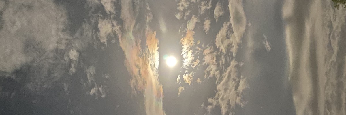 Profile banner