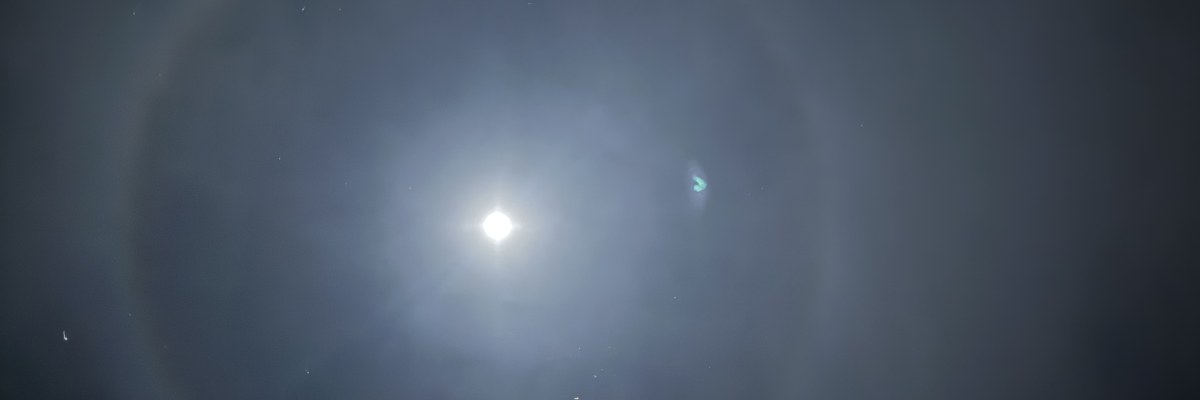 Profile banner